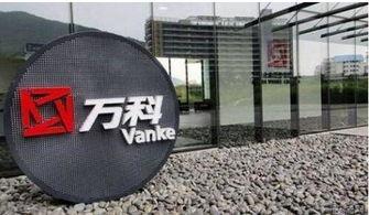 万科爆料最新消息是谁的,揭秘神秘幕后操控者身份！